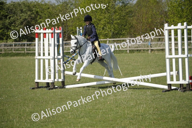 20250427-0404 - Class 12 - Rookie Jumping 40cm