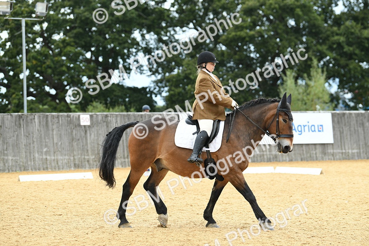 SBM_10027 - D15 Small Tour Championship Novice 24