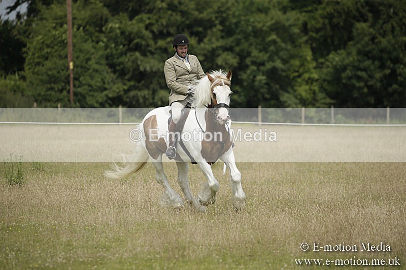 B230619-0452 - Bourne Valley Riding Club Summer Show 23/06/19
