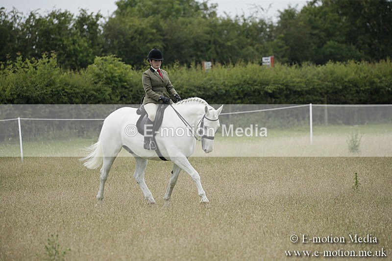 B230619-0715 - Bourne Valley Riding Club Summer Show 23/06/19