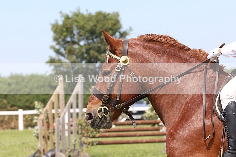 JPP_3513 - Class 15: Heavy Horse Ridden
