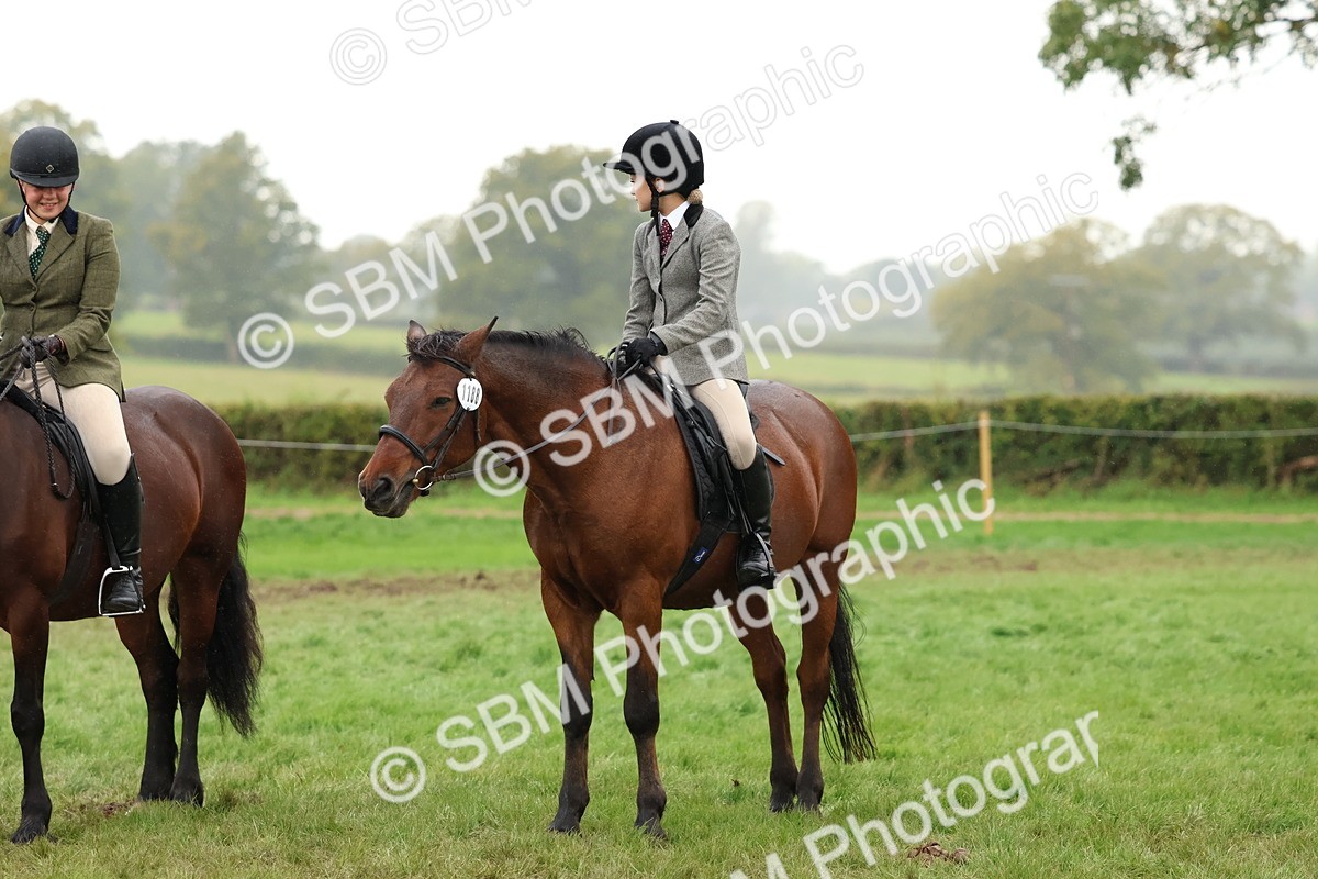 SBM_69718 - S62 - Mountain & Moorland Ridden Large Breeds
