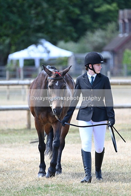 WJ7_2301 - Class 5a Most Handsome Gelding in hand (above 14.2hh)