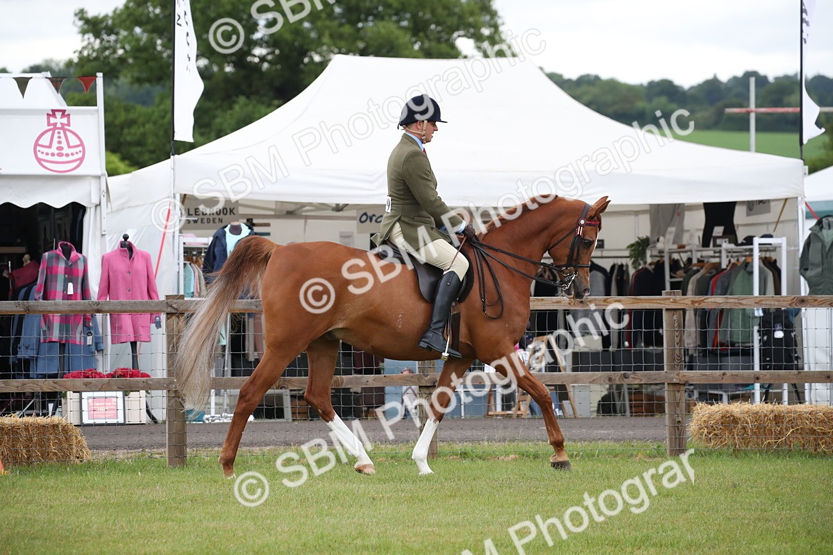 SBM_03600 - Class 21 - 22 - Ridden Arab and Part Bred/Anglo Arab