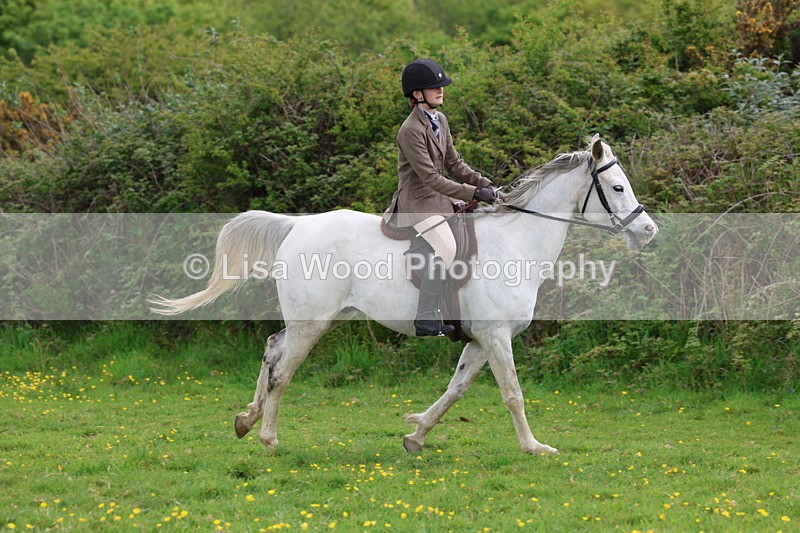 3E7A2091 - Class 11: Ridden Arab