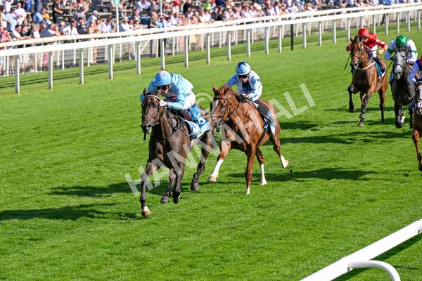 110725-Race 7-Secret Beach-0583 - Race 7 5.40pm William Hill Bet In Running Apprentice Handicap
