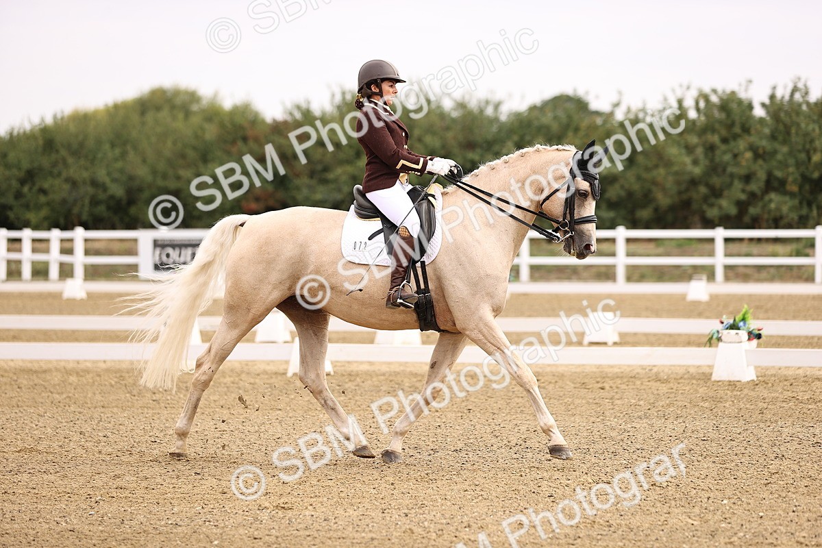 SBM_011518 - Class 1 - Medium 5