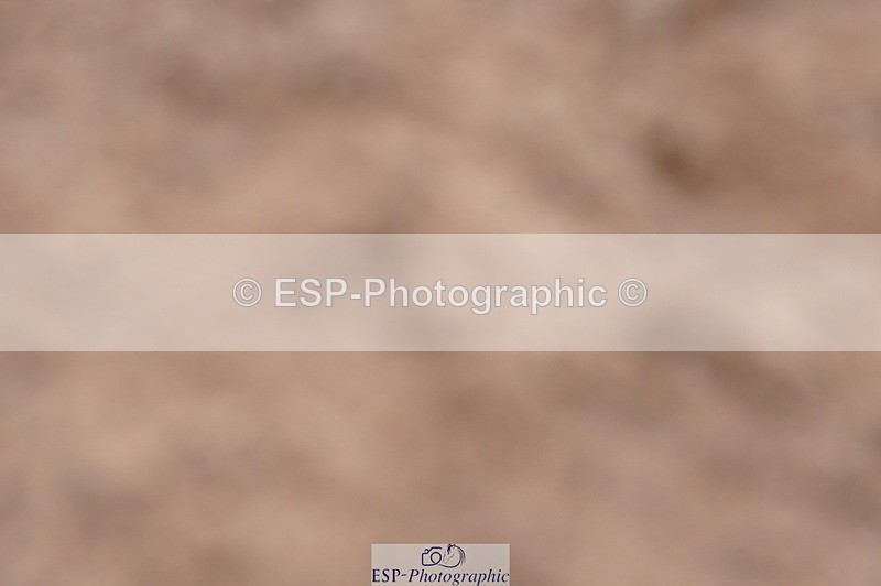 240720A-110516-14265 - Cls 3, 3 Star Small Tour 1.40m