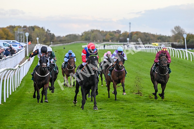 281025-Race 7-Crocodile Power-2105 - Race 7