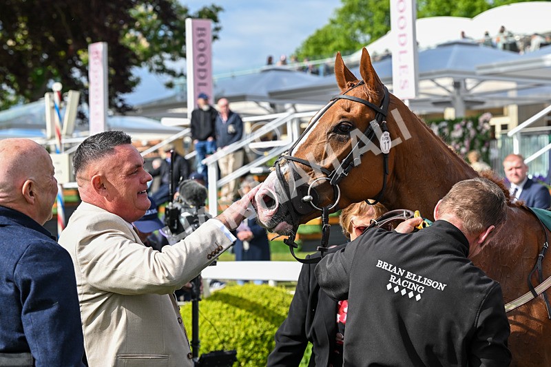 150526-Race 6-Fortification-8553 - Race 6 4.40pm Irish Thoroughbred Marketing Handicap