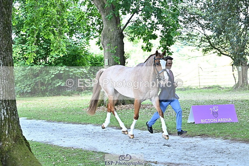 250521A-160902-00939 - C-282-Harry.Meade-NASHVILLE