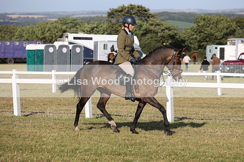 JPP_3267 - Class 21: Working Hunter 80cm