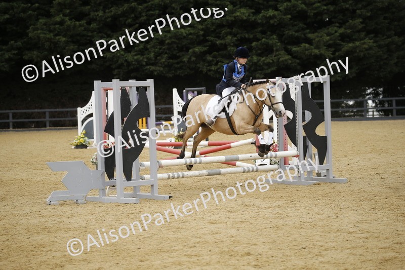 20250622-6039 - 60cm