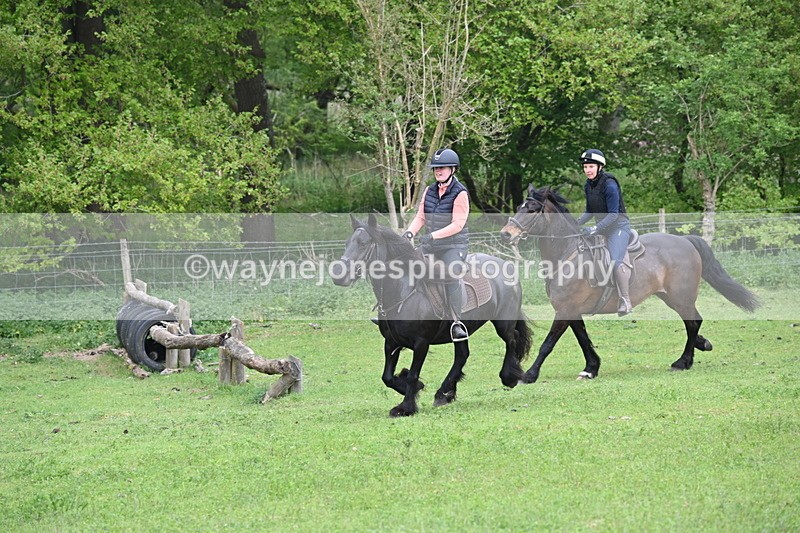 WJ6_2665 - A camera