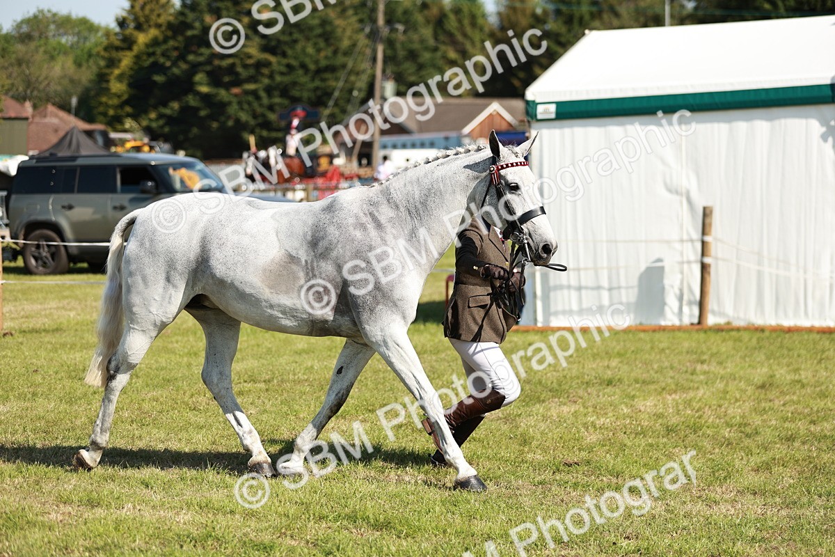 SBM_18907 - Class 114 - RIHS & SEIB Open Working Show Horse