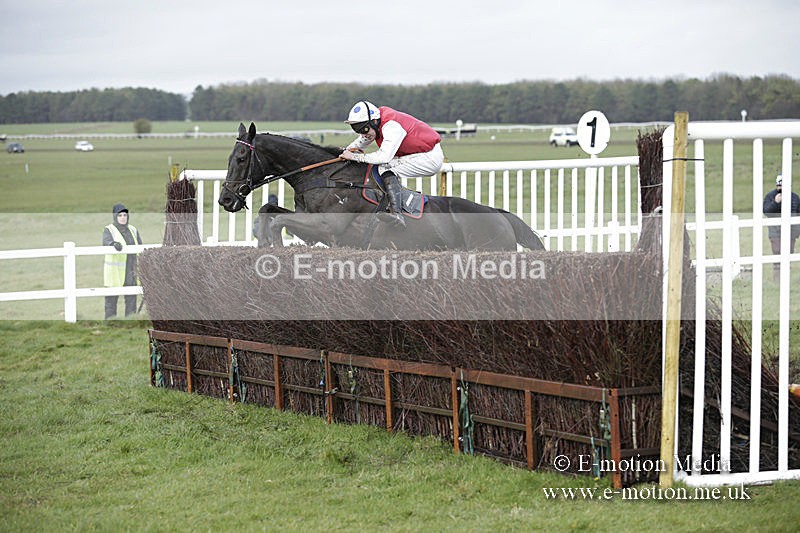 PtP 150320 0411 - New Forest Point-to-Point Larkhill 15/03/20