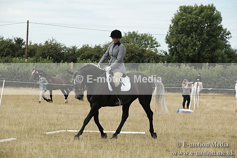 _PJP5760 - Dressage Classes BVRC Show 2018
