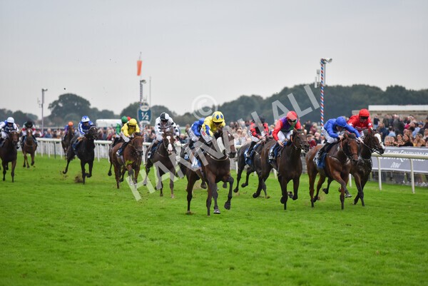 yr09102021r7-27 - Race 7 5.00pm Coral Proud Sponsors Of British Racing Finale Handicap