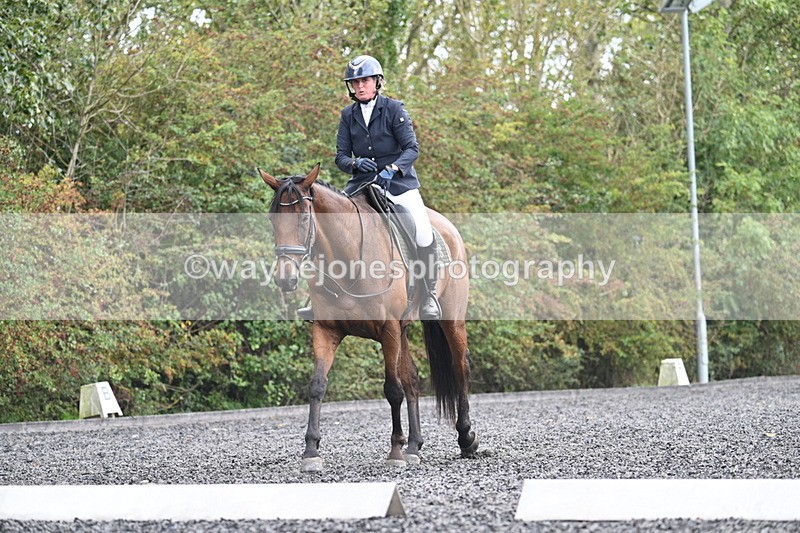 WJ7_6186 - Time 14:10 to 14:45