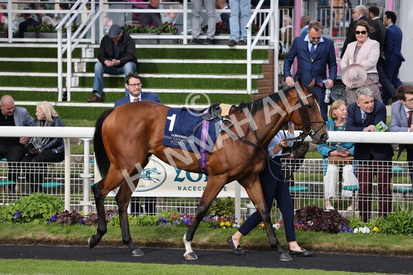 yr13052022r7-7 - Race 7 5.15pm Longines Irish Champions Weekend Stakes
