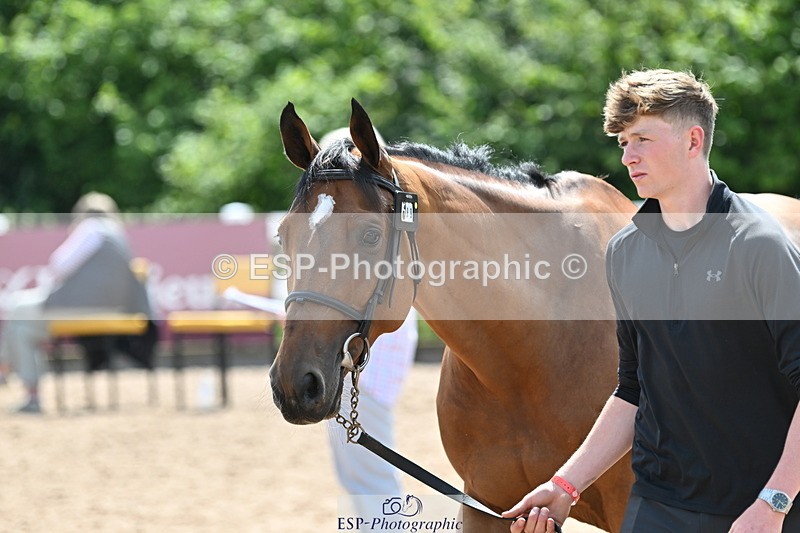 240717A-150240-02477 - Trot Up 3pm to 4pm