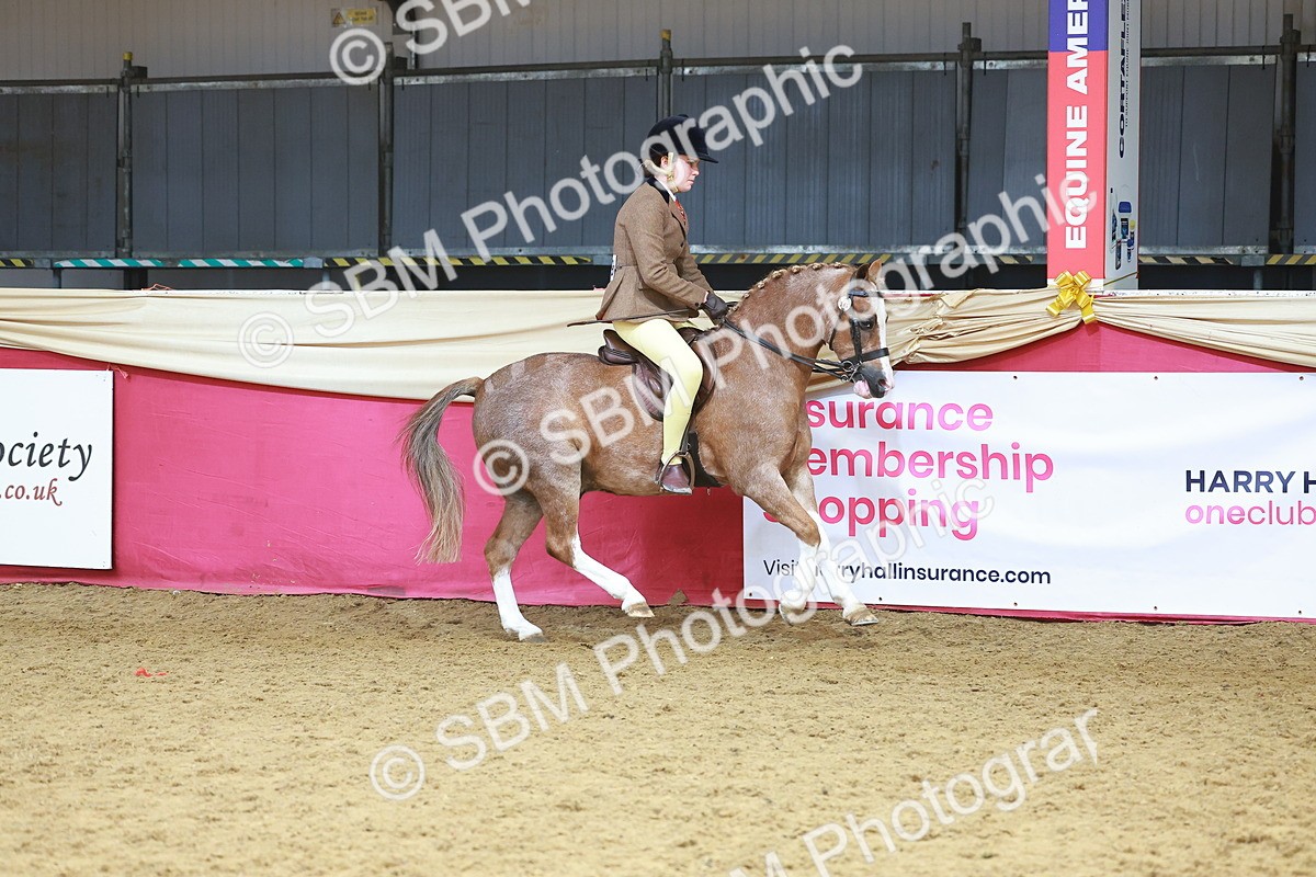 SBM_12439 - Class 103 - HOYS Veteran Qualifier - Ridden Pre Vet