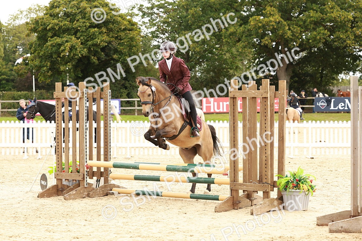 SBM_63702 - J12 - Junior Pony 55cm Championship