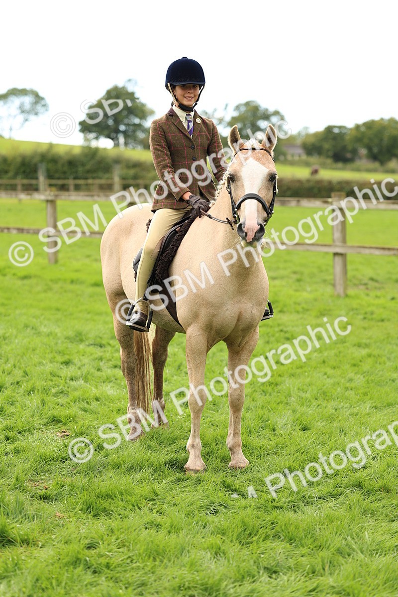SBM_45367 - S33 - Working Hunter Pony