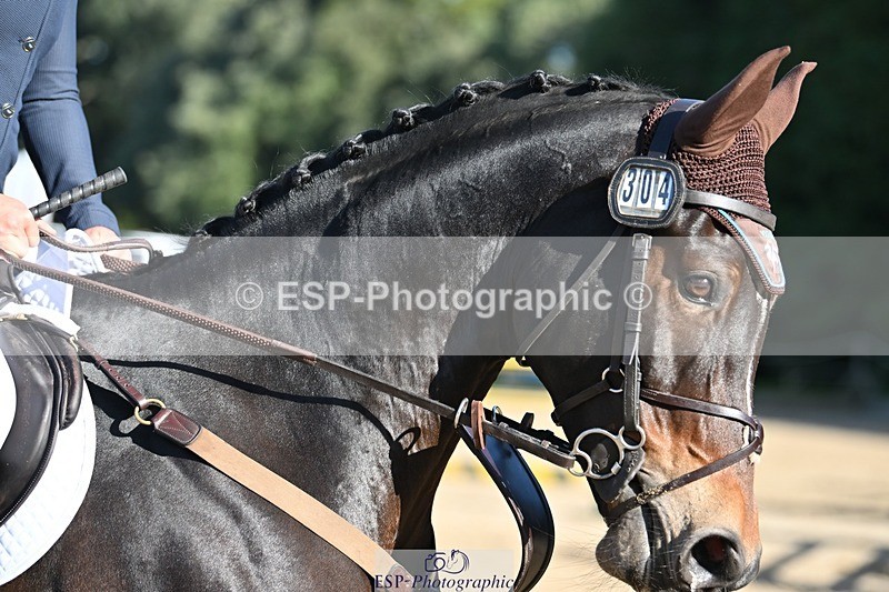 231022-113648-26378 - 304-TOLANTYBE.Z-Caroline.Basnett-SJ