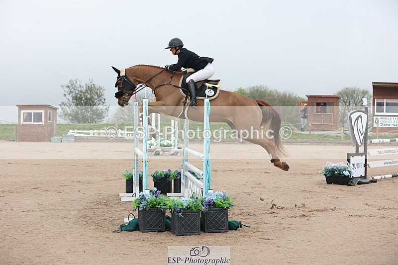 250424-083149-02361 - Cls 25 Young Horse 5yr old