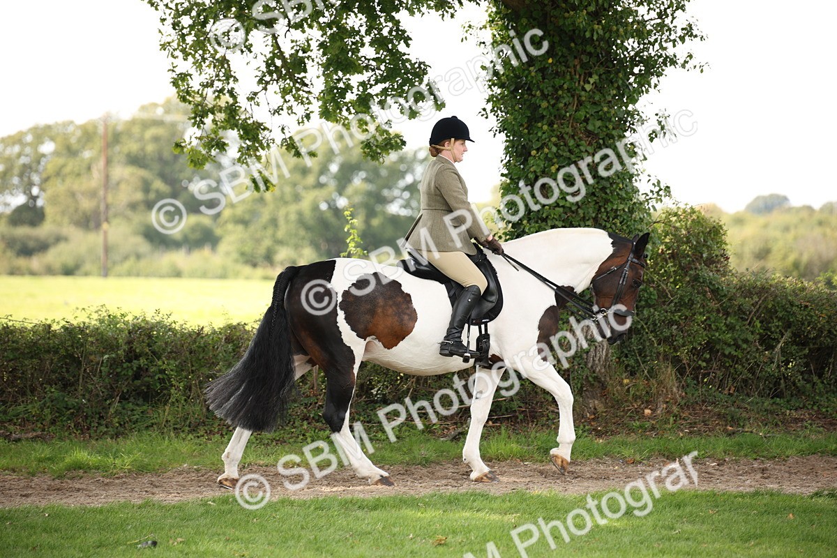 SBM_70060 - S65 - Piebald & Skewbald Horse Ridden