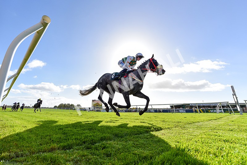 191024-Race 2-Morandi Second-8386 - Race 2