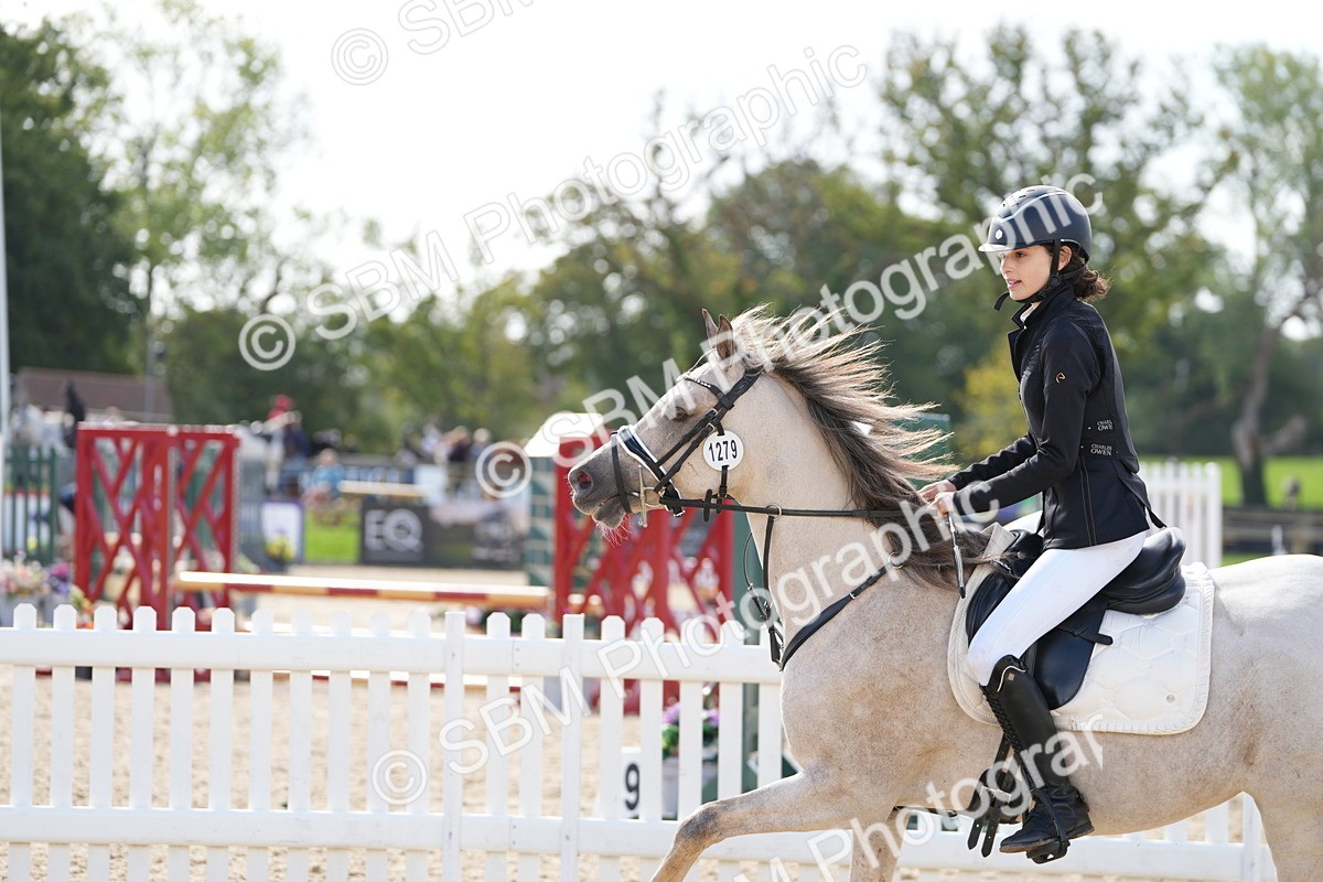 SBM_17857 - J58 - Clear Round 50cm