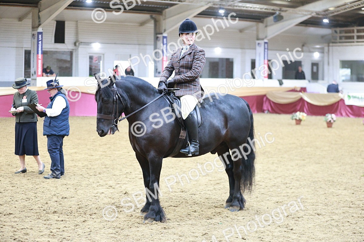 SBM_08873 - Class 12R - Regional Ridden Pre-Vet