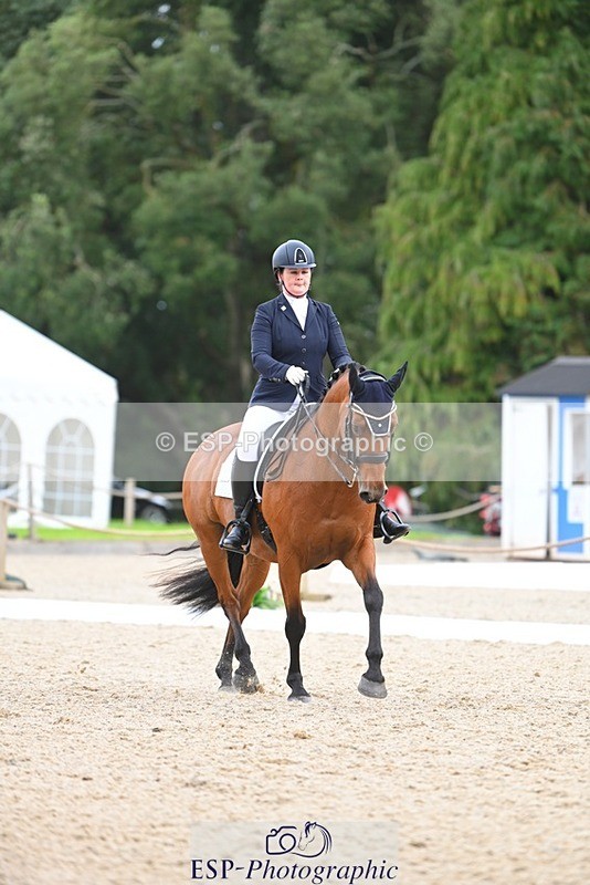 230813-132146-07545 - Cls 13 Medium Bronze 13.15 to End