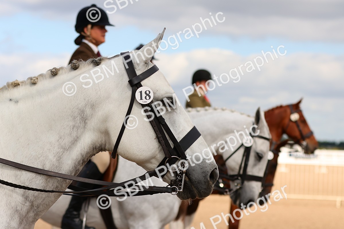 SBM_13224 - Class 211 - Ridden Hunter - Small