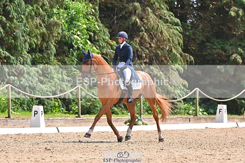 250523A-141711-07289 - B-360-Lucy.K.Wheeler-KING.CREOLE.VD.N.RANCH