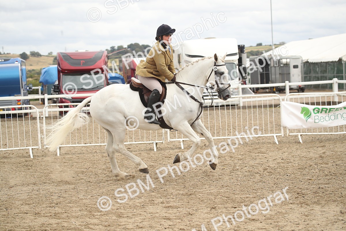 SBM_17699 - Class 508a - Working Veteran 70cm (15-19)
