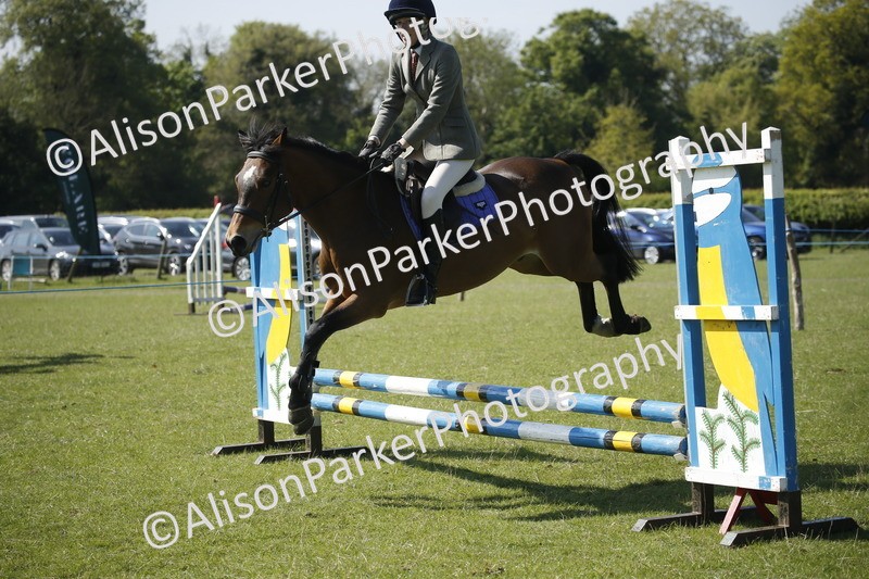 20250427-1992 - Class 13 - Novice Jumping 60cm