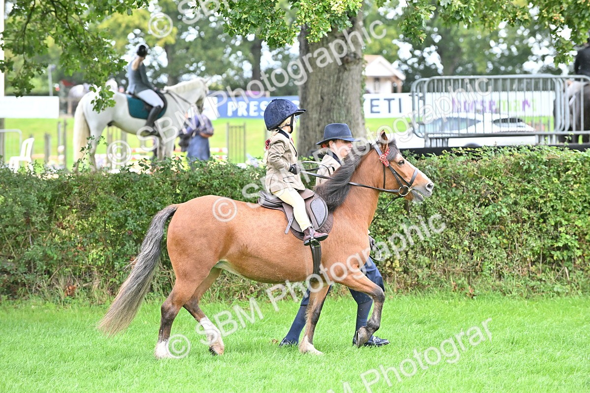 SBM_40126 - S20 - Lead Rein Mountain & Moorland Pony