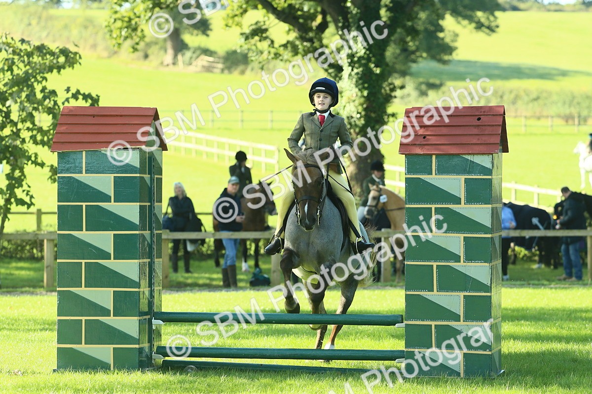 SBM_36448 - S29 - Novice & Newcomers Working Hunter Pony