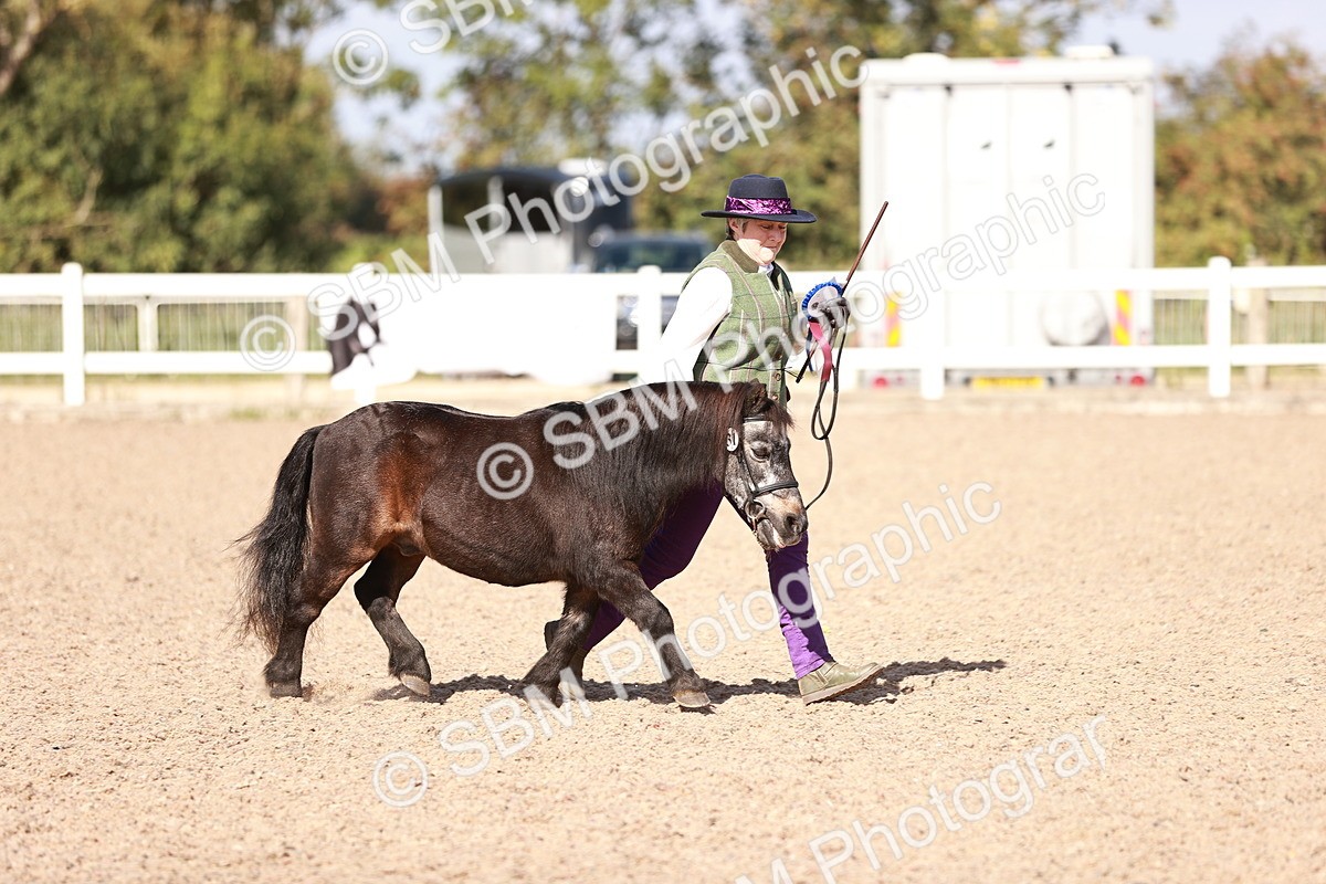 SBM_22849 - Class 705 - IH Combination 65+