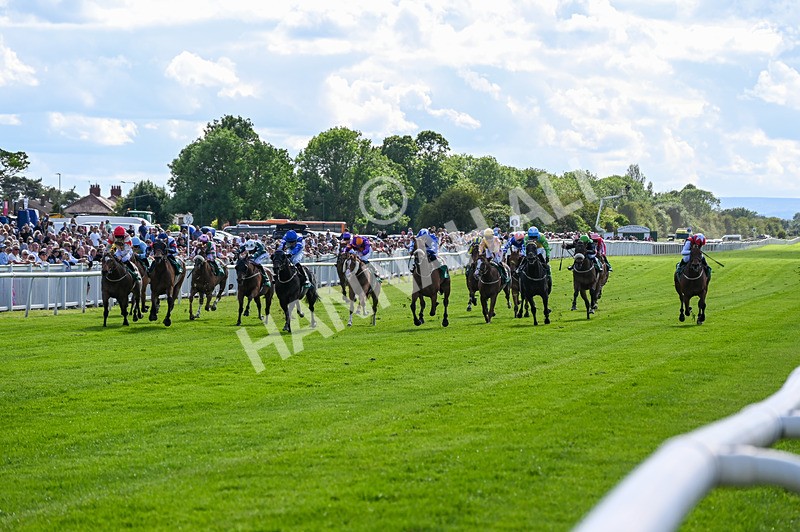 310526-Race 3-Al Hussar-8577 - Race 3 16.45pm Sky Bet Club Handicap