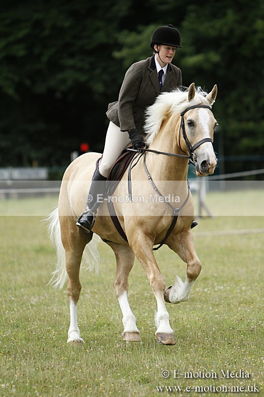 BVR160717-111 - Ring 3 BVRC Show 16/07/17