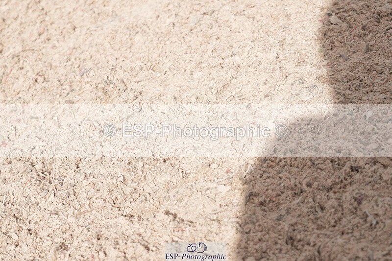 251005-132614-03530 - Cls 27 1.05m Amateur Qualifier