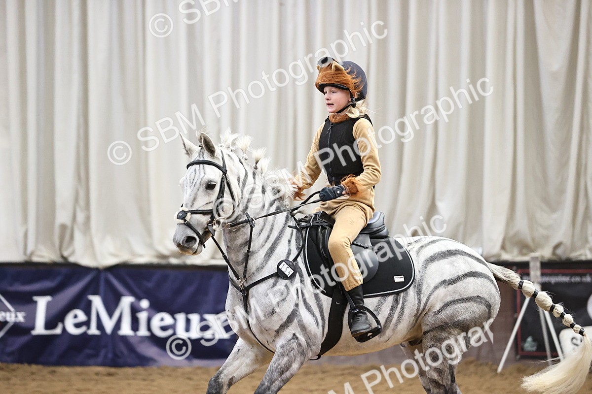 SBM_000668 - Class 2 - Show Jumping 50cm