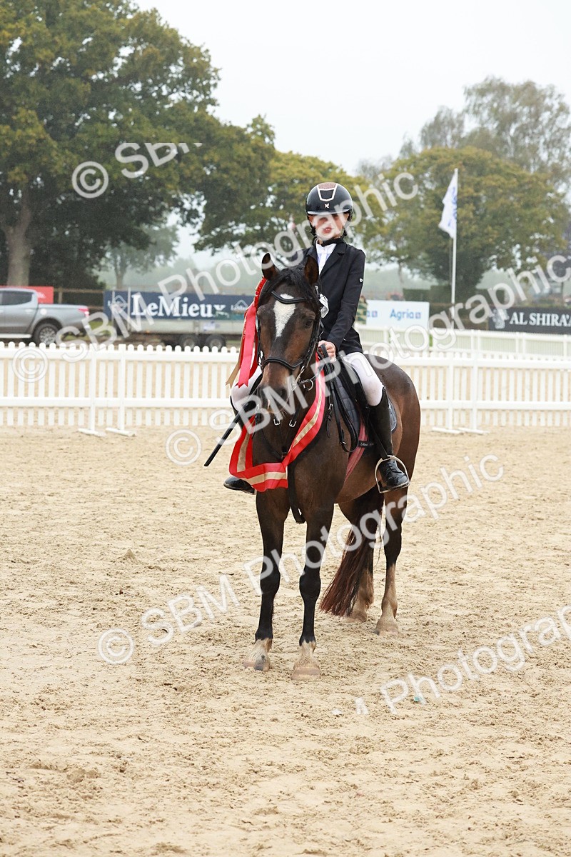 SBM_73460 - Supreme Championship Junior Pony 60cm & 65cm