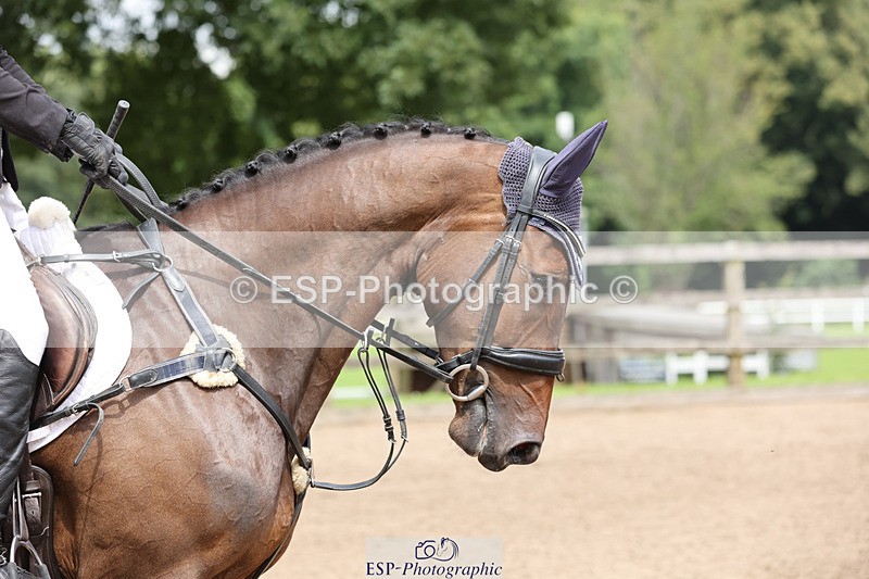 240804-140818-15664 - 611-Max_Forster-FLO_CORMINT