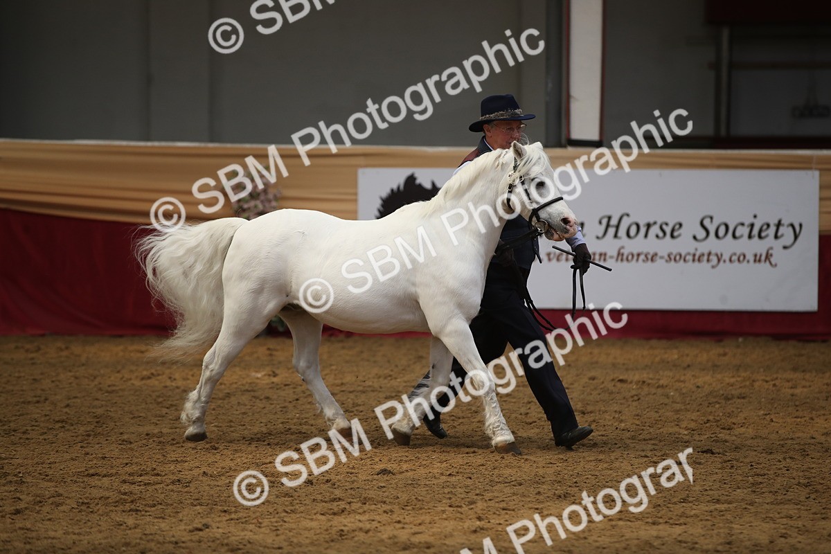 SBM_05375 - Class 8R - Regional IH Veteran