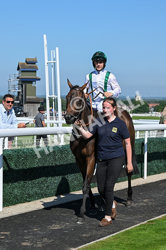 250624-Race 6-Cockalorum-6028 - Race 6